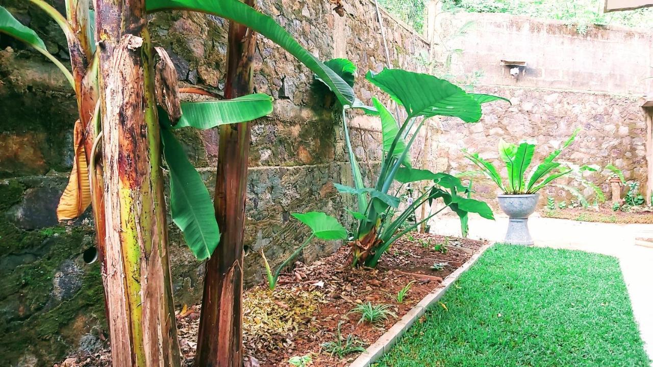 Villa Senan - 2 Apartments - 米瑞莎 外观 照片
